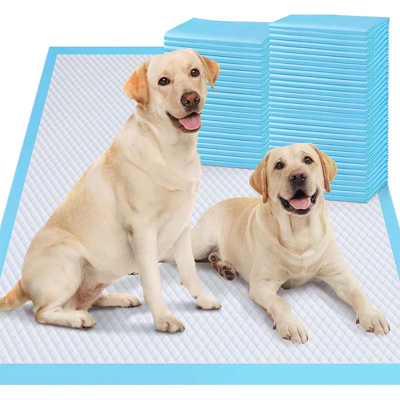 Waterproof Dog Training Pad Super Absorbent