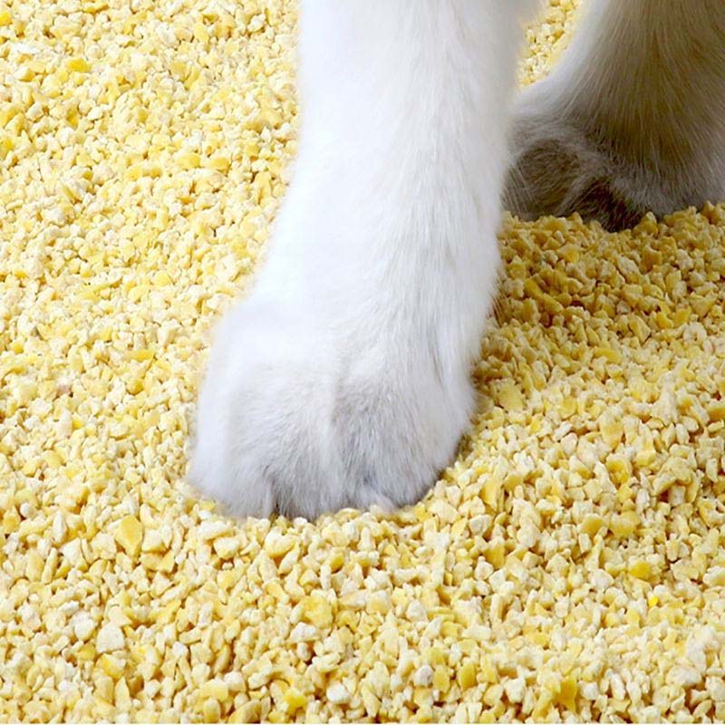 Dust-Free Cat Litter