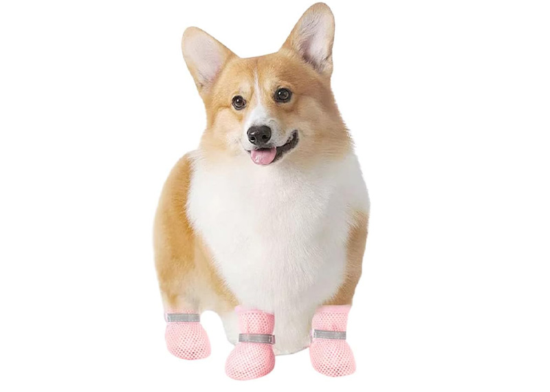 A must-have for the rainy season - silicone waterproof pet shoes