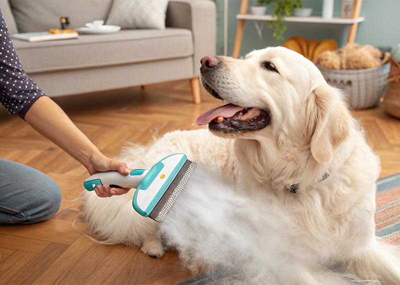 Long-haired vs. Short-haired Combs, Which One Is More Suitable for Your Pet?
