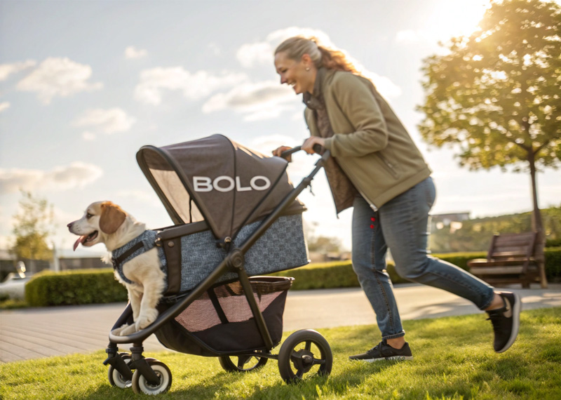 Choose the right stroller for your pet and embark on a new experience of convenient travel