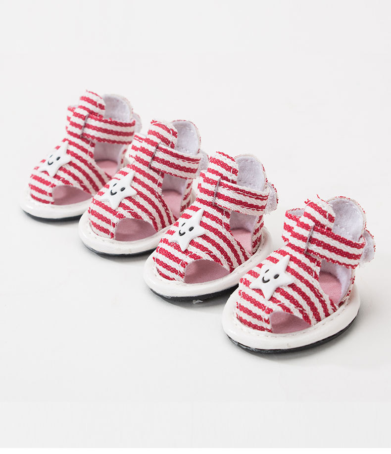 Fashionable pet shoes for outdoor use