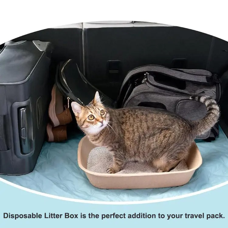 Durable Biodegradable Cardboard Litter Tray
