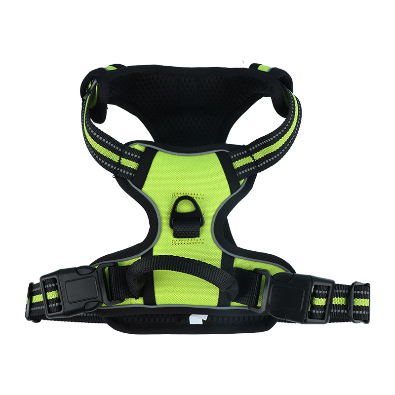 Comfortable Mesh Lined Walking Harness