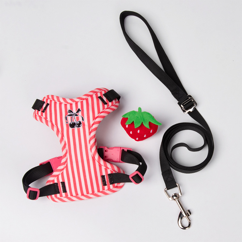 Reflective No-Pull Mesh Vest for Small Dogs