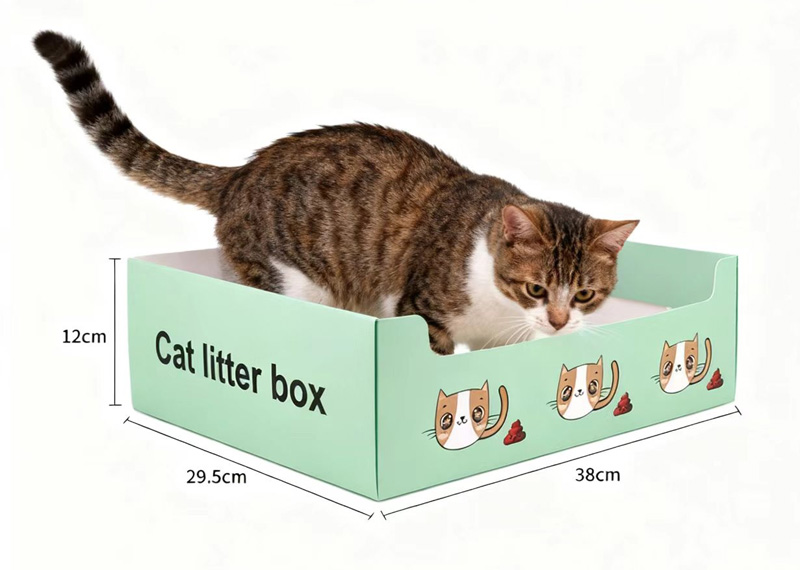 New choice for cat litter boxes: convenient, eco-friendly and pet-friendly