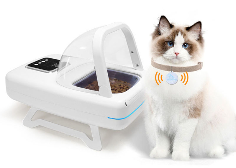 Smart Pet Feeder Upgrade Guide: How to Build a Worry-Free Feeding System for Multi-Pet Households