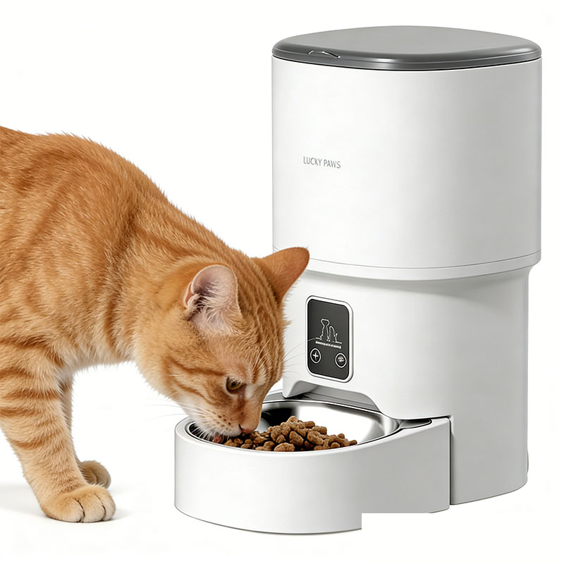 smart automatic cat feeder