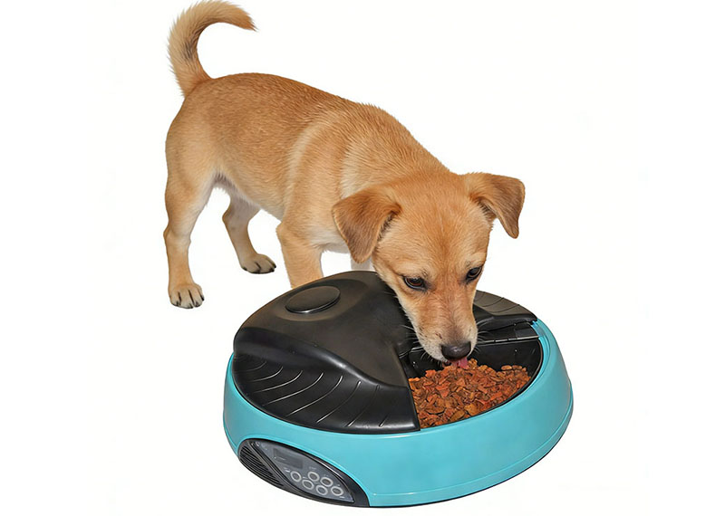 Smart Feeder - Making Feeding More Convenient