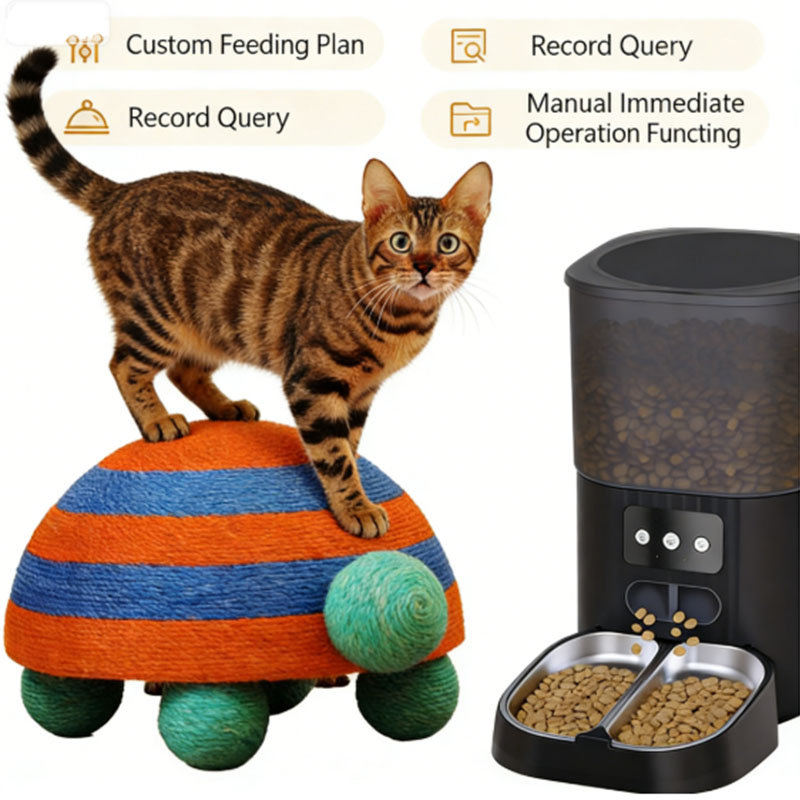 voice pet feeder Manufacture