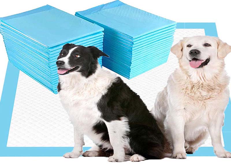 How Do 6-Layer Puppy Pee Pads Keep Floors Dry and Pets Comfortable?