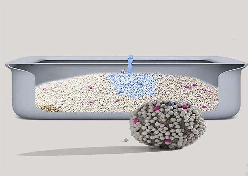 Why Disposable Biodegradable Cat Litter Are a Smart Choice for Eco-Conscious Pet Owners