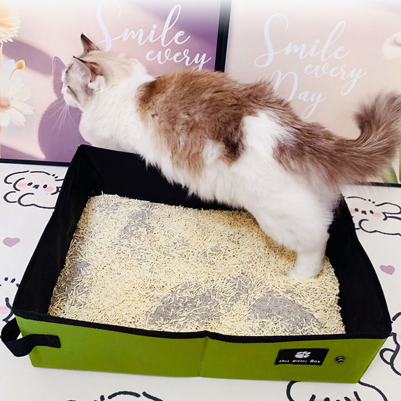 Self-Cleaning vs Manual Litter Boxes: 2026 Smart Choice Comparison