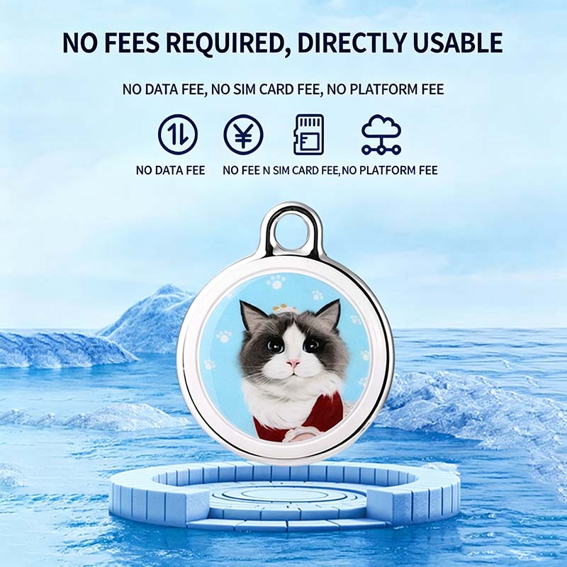 real time pet position monitor