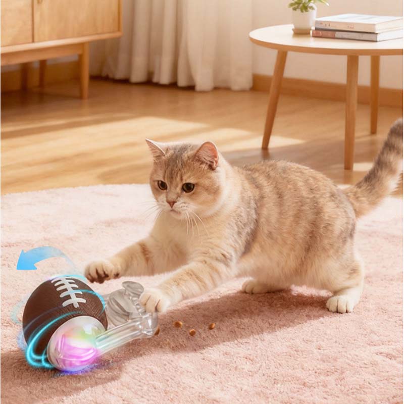 indoor cat self amusement toy