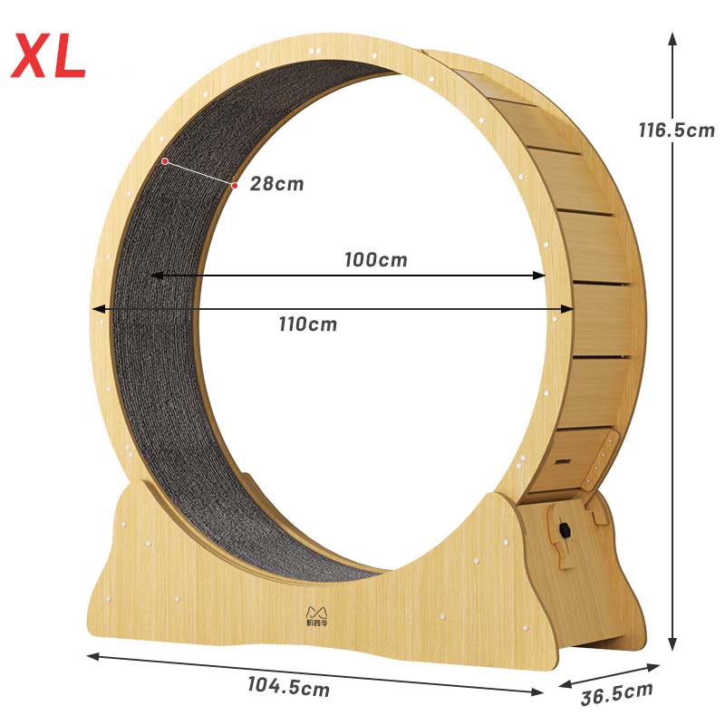 cat exercise wheel indoor